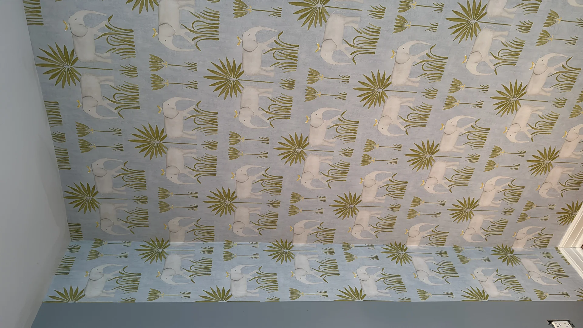 RCP Wallpaper completed project portfolio